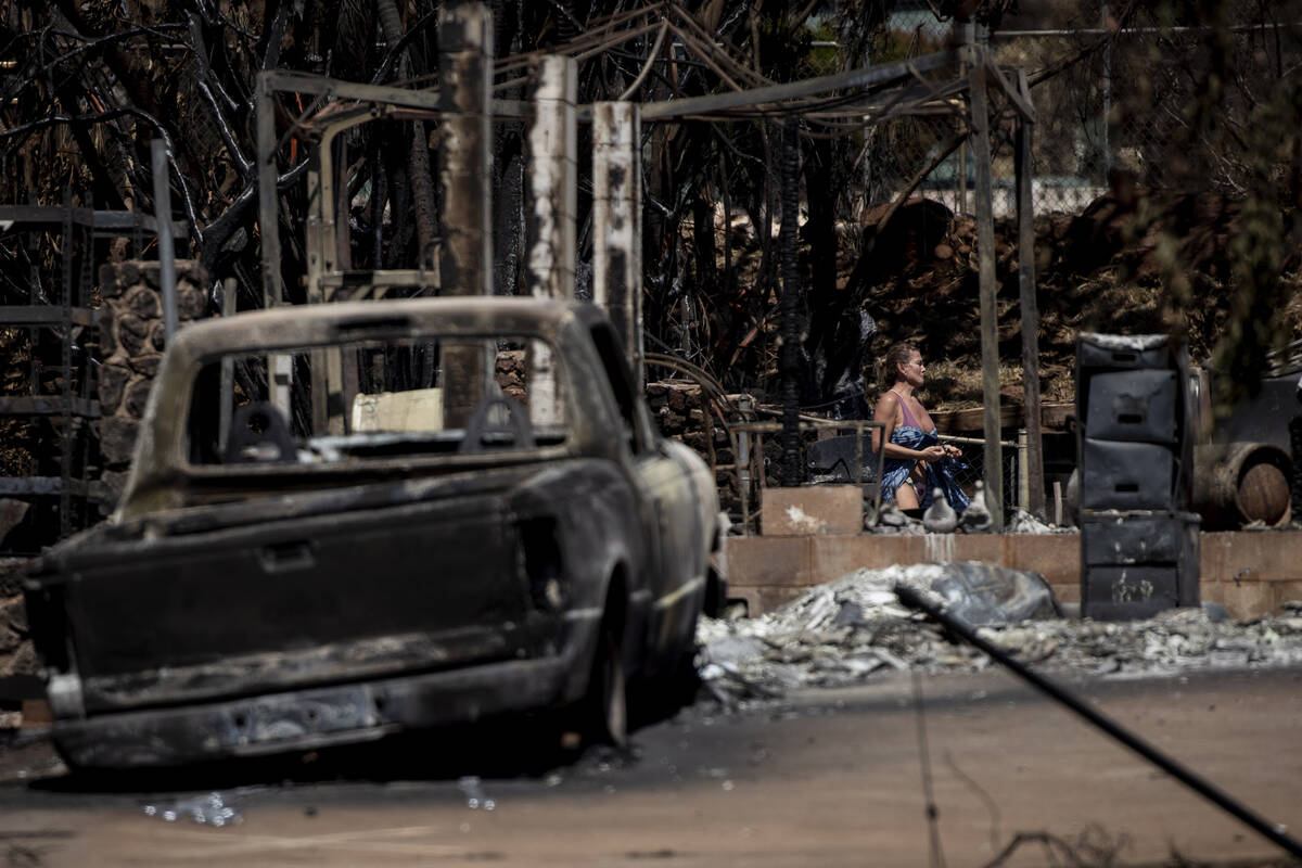 Maui wildfire fueled by ignored warnings, hubris, slow response - Vimarsana News