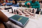 LETTER: Chess officials ban transgender women from competing in female events