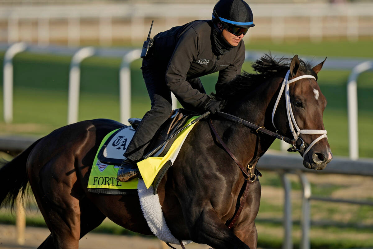 Travers Stakes betting odds, horsebyhorse analysis Betting Sports
