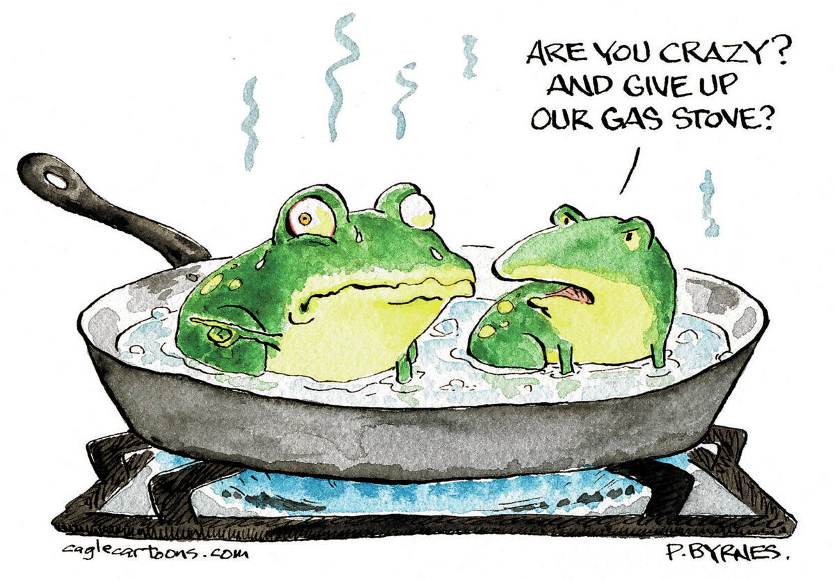 Pat Byrnes PoliticalCartoons.com