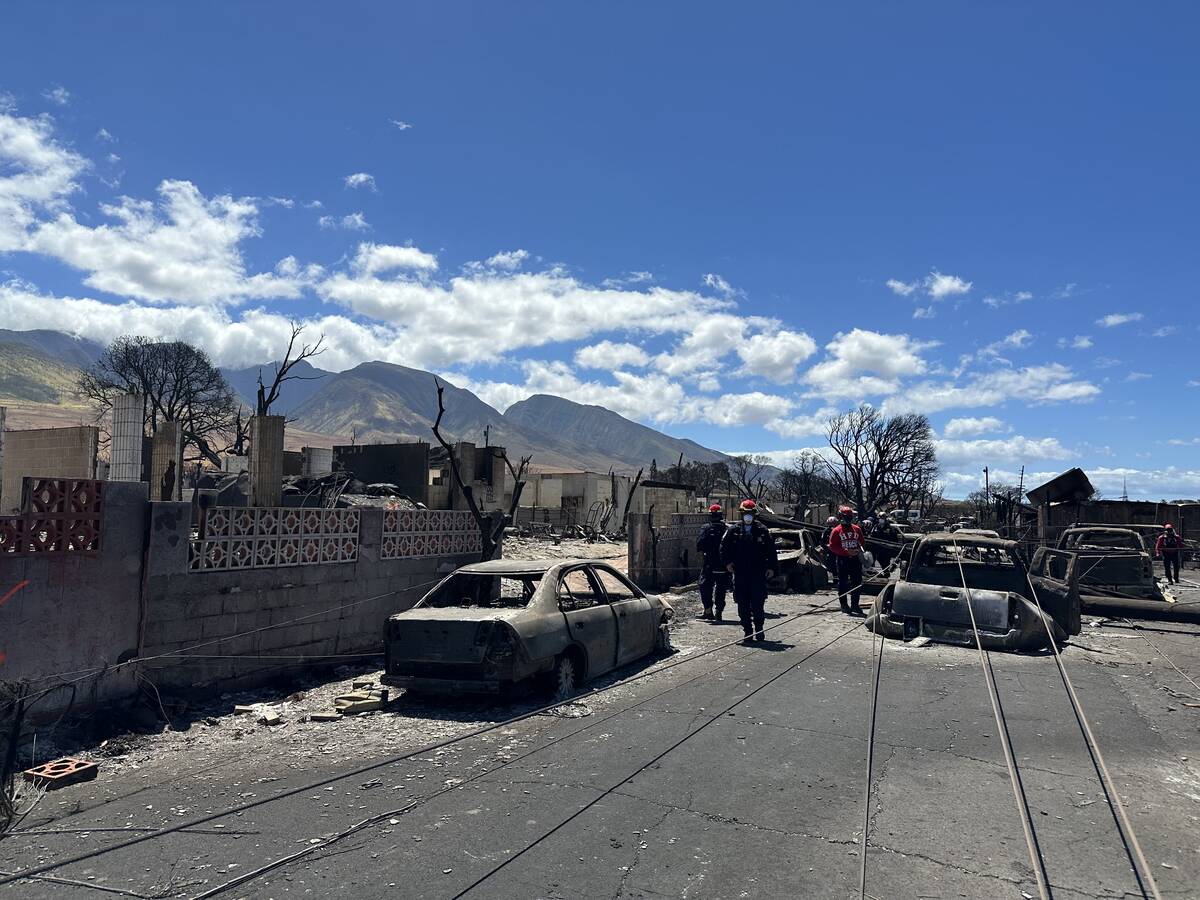 Nevada Task Force-1 members see burned out vehicles during their search for remains in Lahaina ...