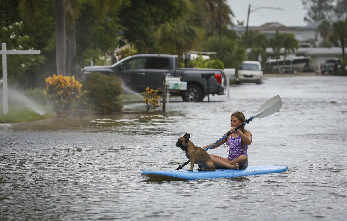 Lily Gumos, 11, of St. Pete Beach, kayaks with her French bulldog along Blind Pass Road and 86t ...