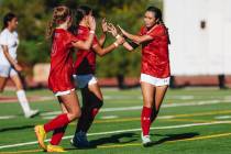 Arbor View player Sophia Sachs (4) celebrates with her teammates after making a goal during a g ...