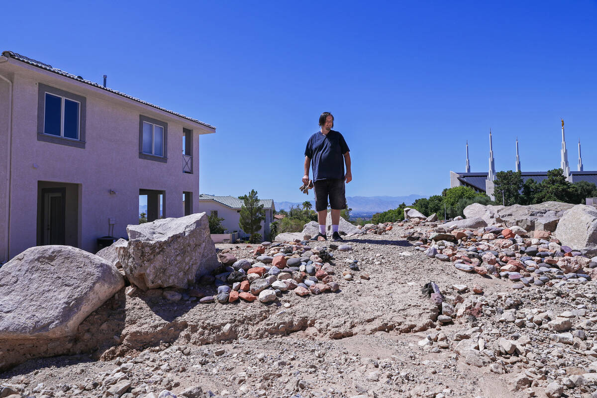 Dan Carmany stands on top of a mound of debris that was pushed onto his property on Benedict Ro ...