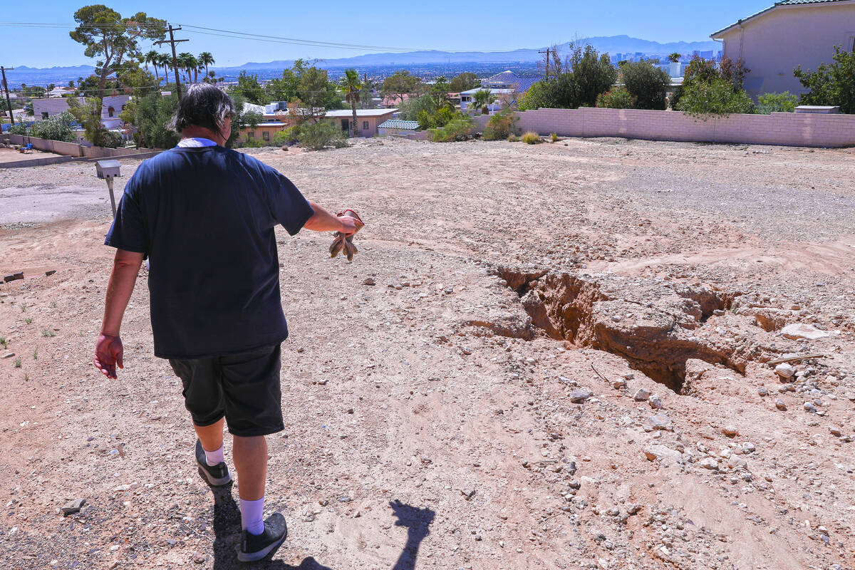Dan Carmany points to a sinkhole that formed in his backyard as a result of the damaging flash ...