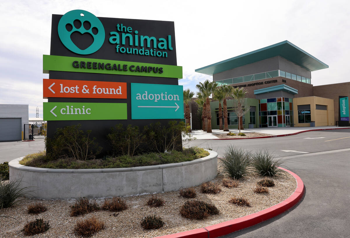 The Animal Foundation in Las Vegas Monday, March 6, 2023. (K.M. Cannon/Las Vegas Review-Journal ...