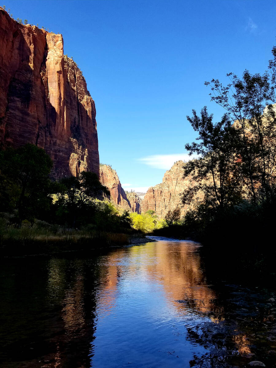 October shadows and reflections along the Virgin River up canyon from Big Bend in Zion National ...
