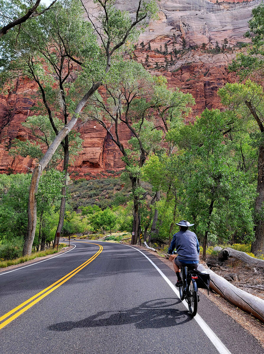 Bicycles have become increasingly popular among Zion visitors, and here a rider heads up canyon ...