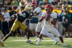 Ricky White returning to different ‘Big House’ with Rebels