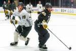 Who’s that No. 19 for the Knights? Wasn’t Reilly Smith traded?