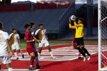 Eldorado goalkeeper Ryan Chavez (0) makes a save against against during a boys high school socc ...