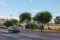 A road verge is seen with a few trees in it on Boulder Highway on Wednesday, Sept. 20, 2023, in ...