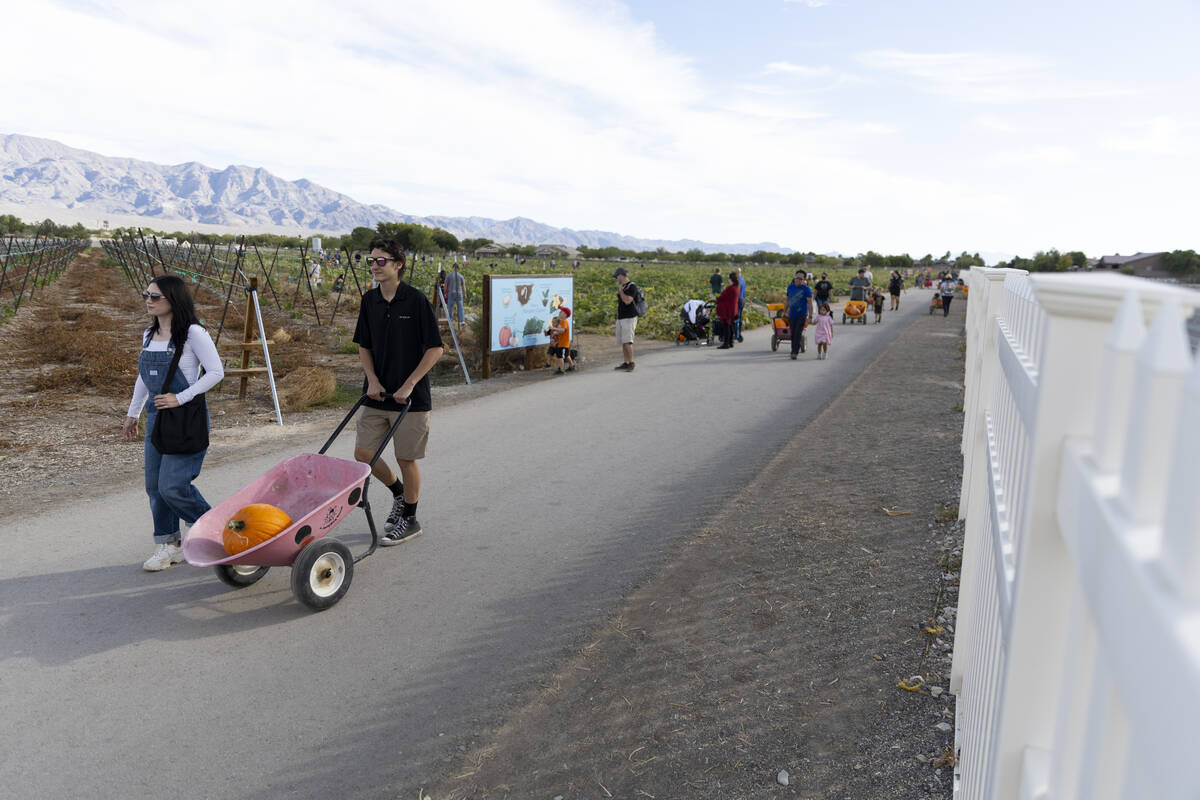Summer Hall, left, and her husband James, visit Gilcrease Orchard in Las Vegas, Thursday, Oct. ...