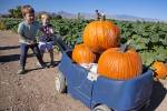 Gilcrease Orchard requiring tickets for weekend visits