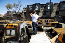 Lazaro Lopez, owner of Perfect Auto Body, surveys the yard where over 30 vehicles where destroy ...