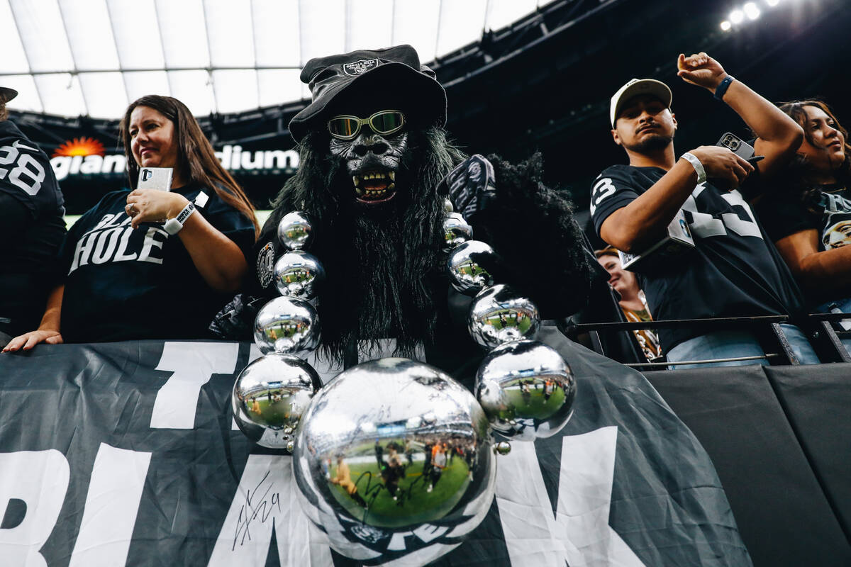 A Raiders fan poses for a photograph during a game against the Pittsburgh Steelers at Allegiant ...