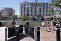 Barricades block off stumps from trees cut down in front of the Bellagio on the Strip in Las Ve ...