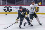 Knights to evaluate options with defenseman nursing injury