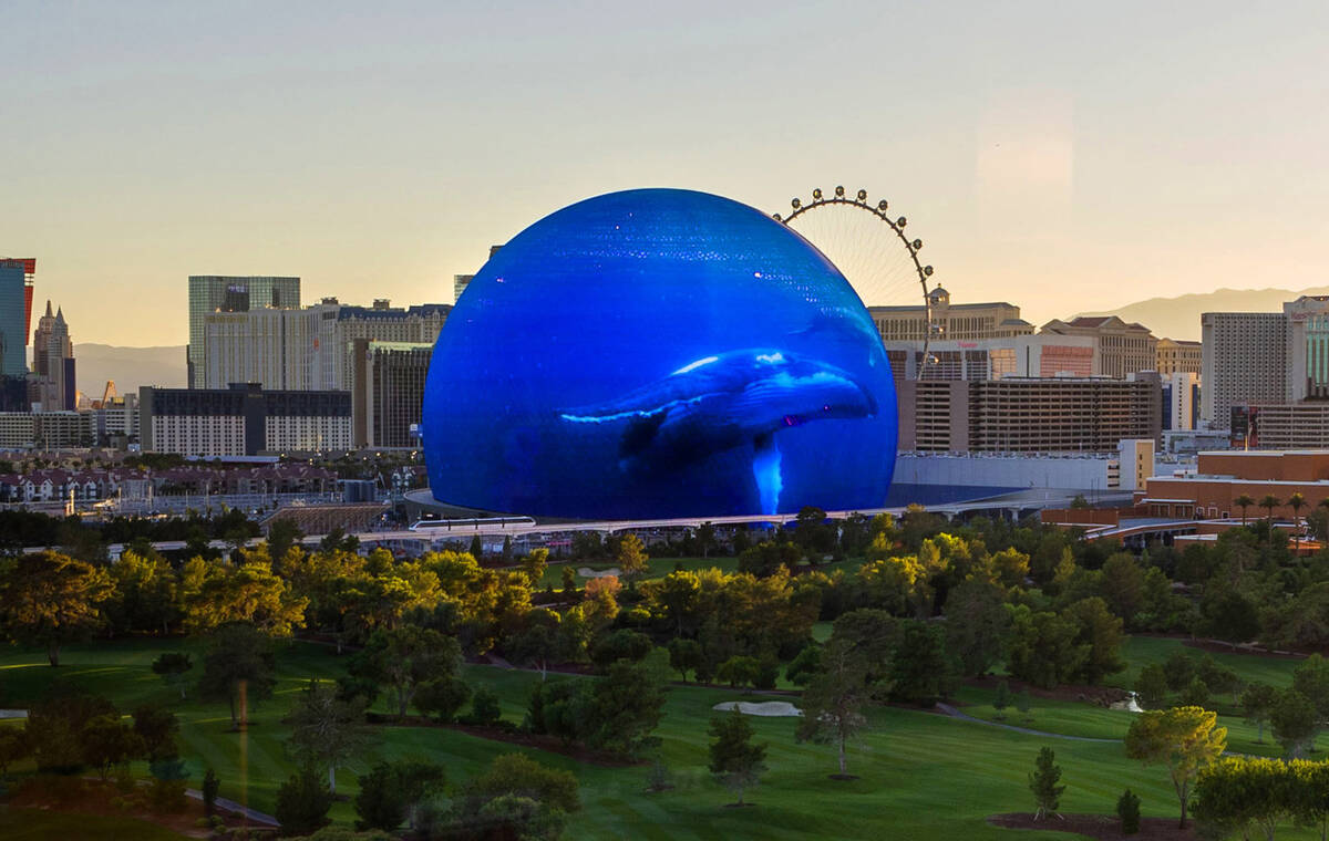 A whale floats across the screen during the opening night of the Sphere on Friday, Sept. 29, 20 ...