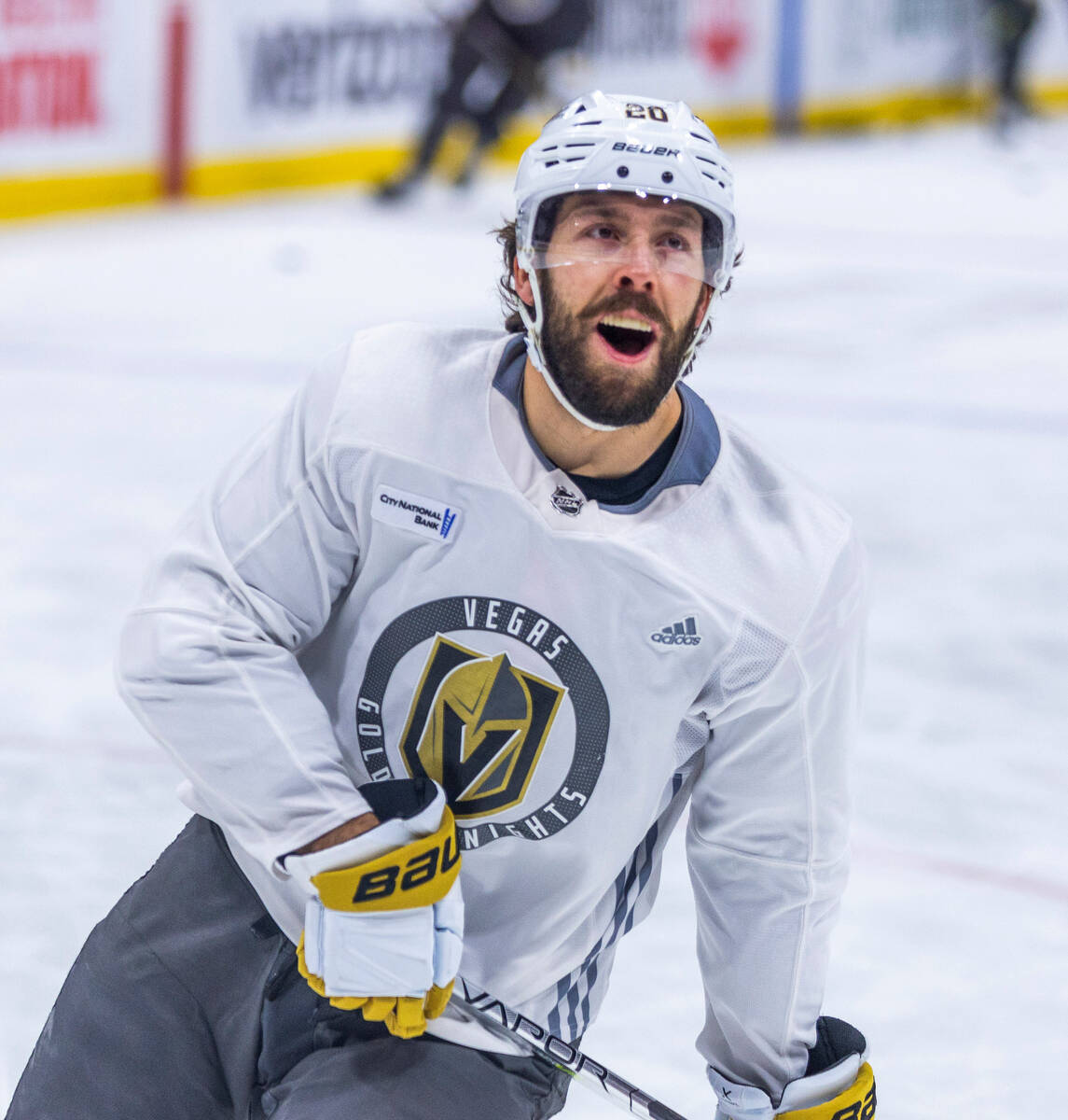 A look at the Vegas Golden Knights initial 2023-24 roster - The Hockey News Vegas  Golden Knights News, Analysis and More