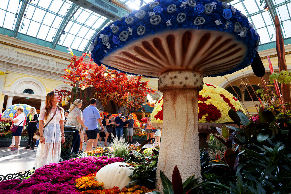 Nicole Shantei of Puerto Rico takes in the fall display “Enchantment” at Bellagio ...