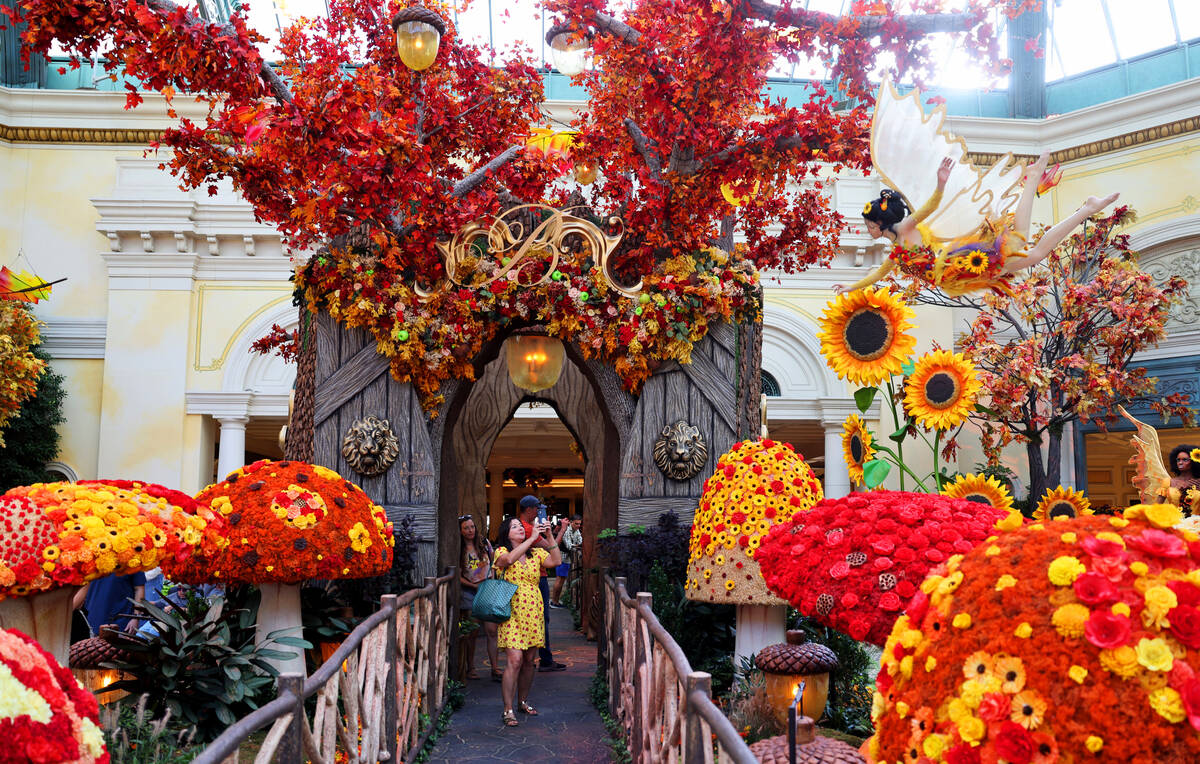 Kim Dawes of England takes in the fall display “Enchantment” at Bellagio Conserva ...
