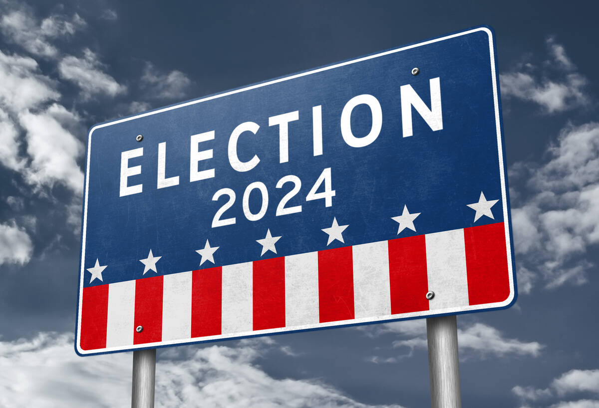 2025 Elections