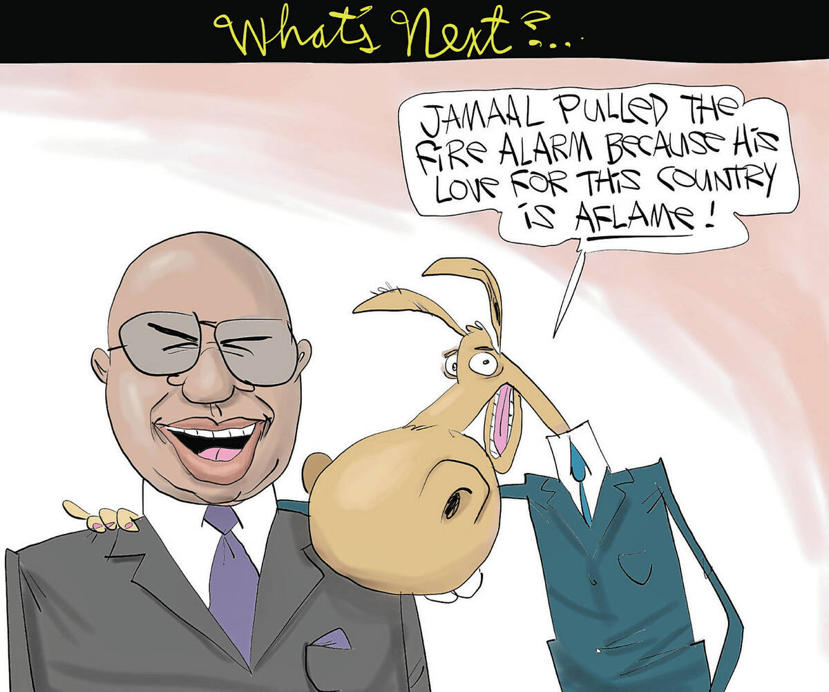 (Gary McCoy/Shiloh, IL)