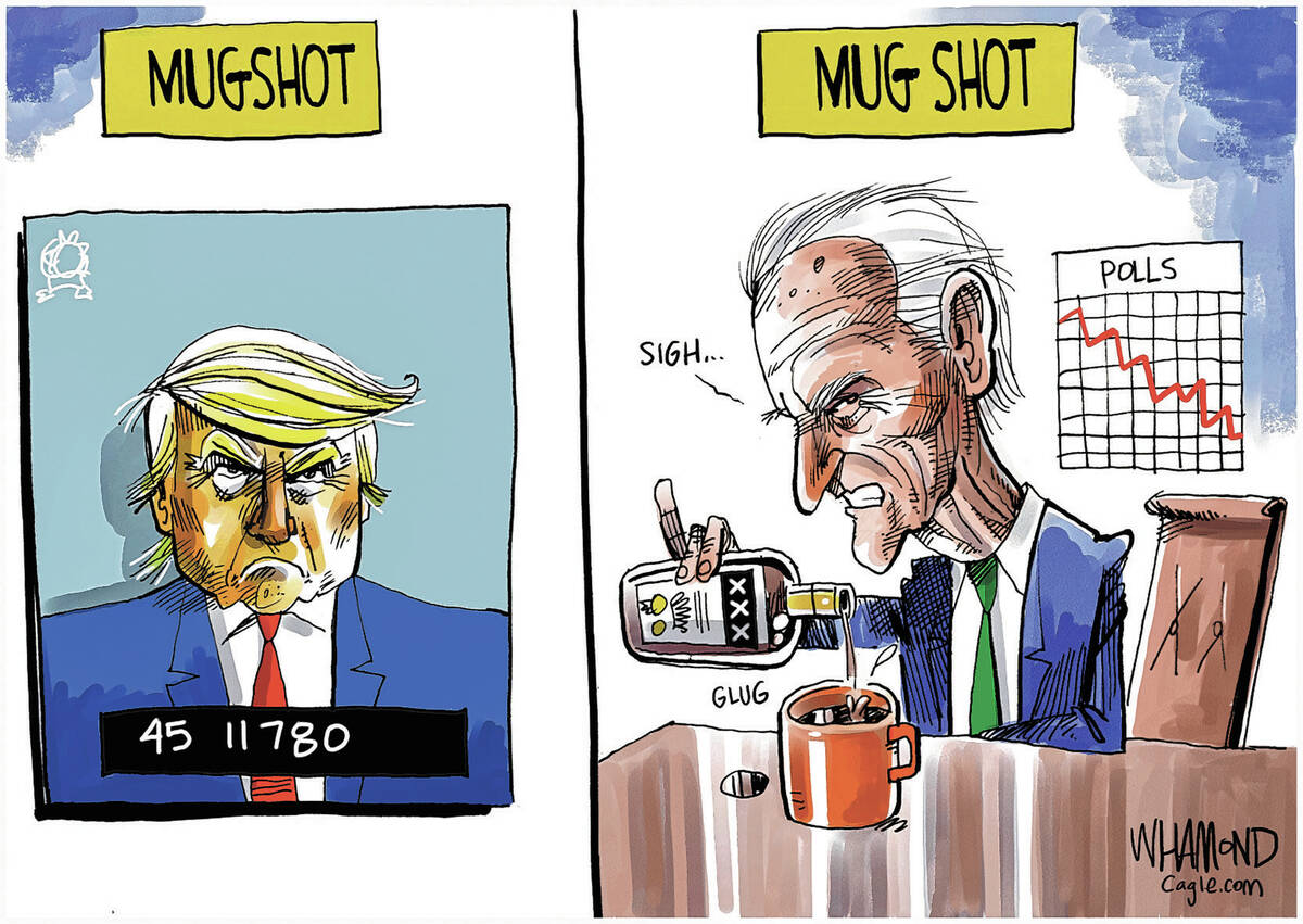 Dave Whamond PoliticalCartoons.com