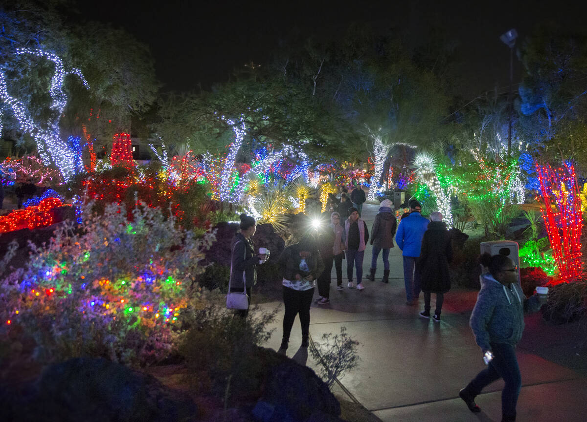 Holiday goers enjoy the lights at Ethel M Chocolates Botanical Cactus Garden on Monday, Novembe ...