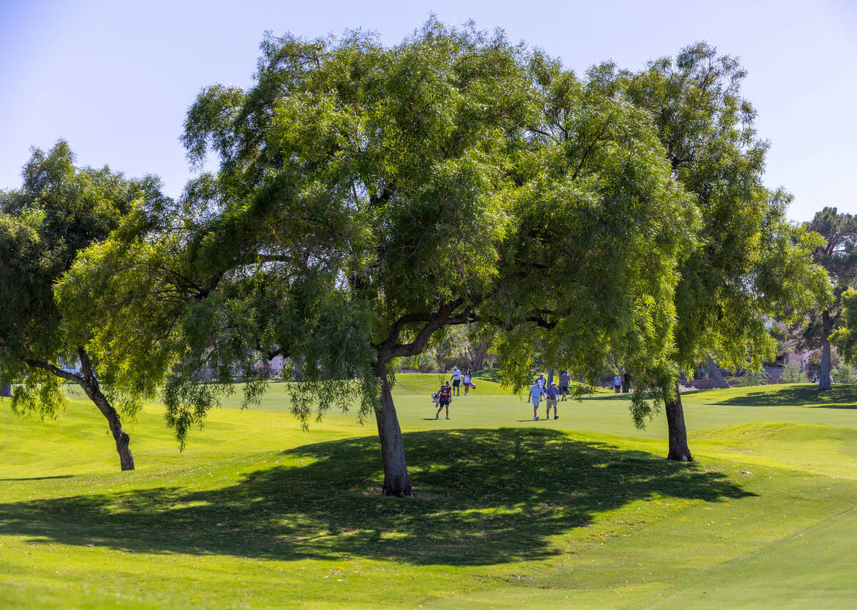 Golfers play along the fairway on hole 8 during the Pro Am before the Shriners Children's Open ...