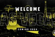 The Pro Volleyball Federation announced Las Vegas as the league's seventh franchise. (Pro Volle ...