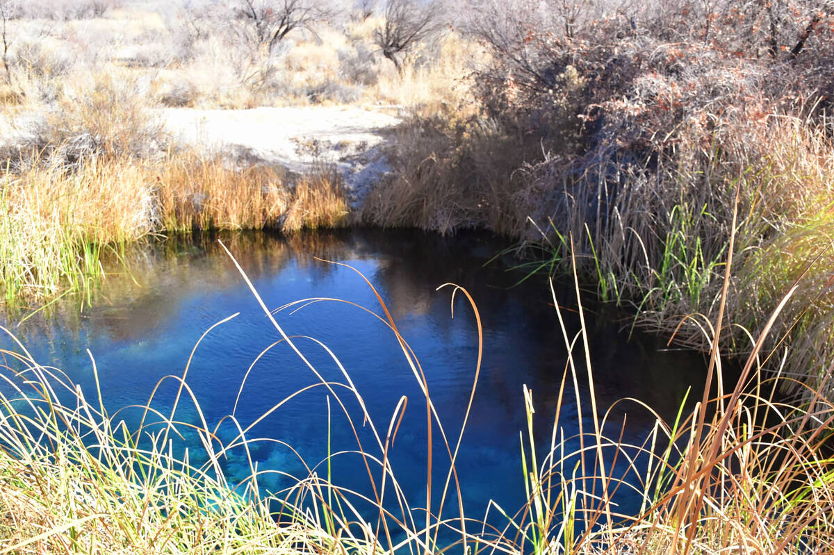 The crystal-clear pools at Ash Meadows National Wildlife Refuge provide life-sustaining water a ...