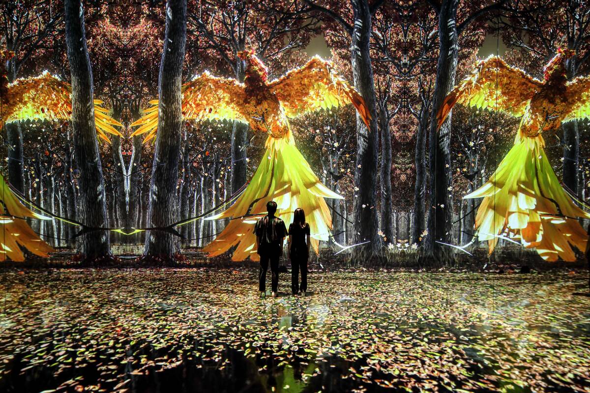 Guests look at a forest scene at Arte Museum. The digital projection attraction is set to open ...