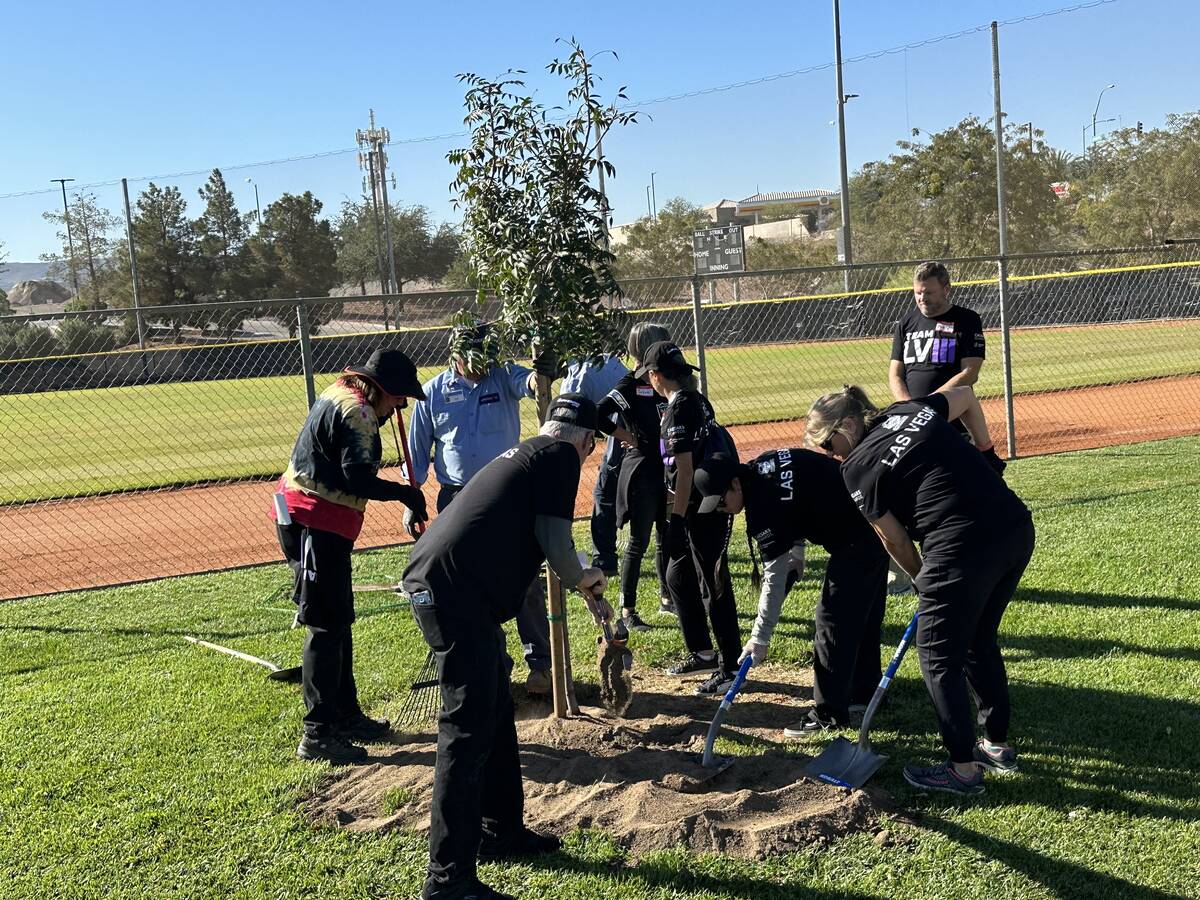 Super Bowl LVIII volunteers plant a tree during an NFL Green event at the Arroyo Grande Sports ...