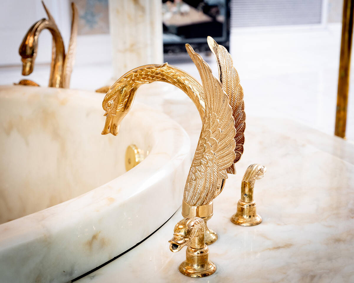 Martyn Ravenhill said when he purchased the property a decade ago he learned the swans on the o ...