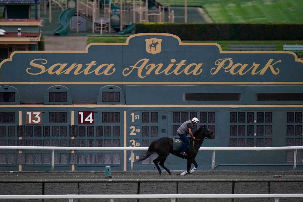 A horse trains ahead of the Breeders' Cup horse race at Santa Anita Park in Arcadia, Calif., Fr ...