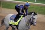 Horse-by-horse analysis for Breeders’ Cup Classic: Only 3 can win
