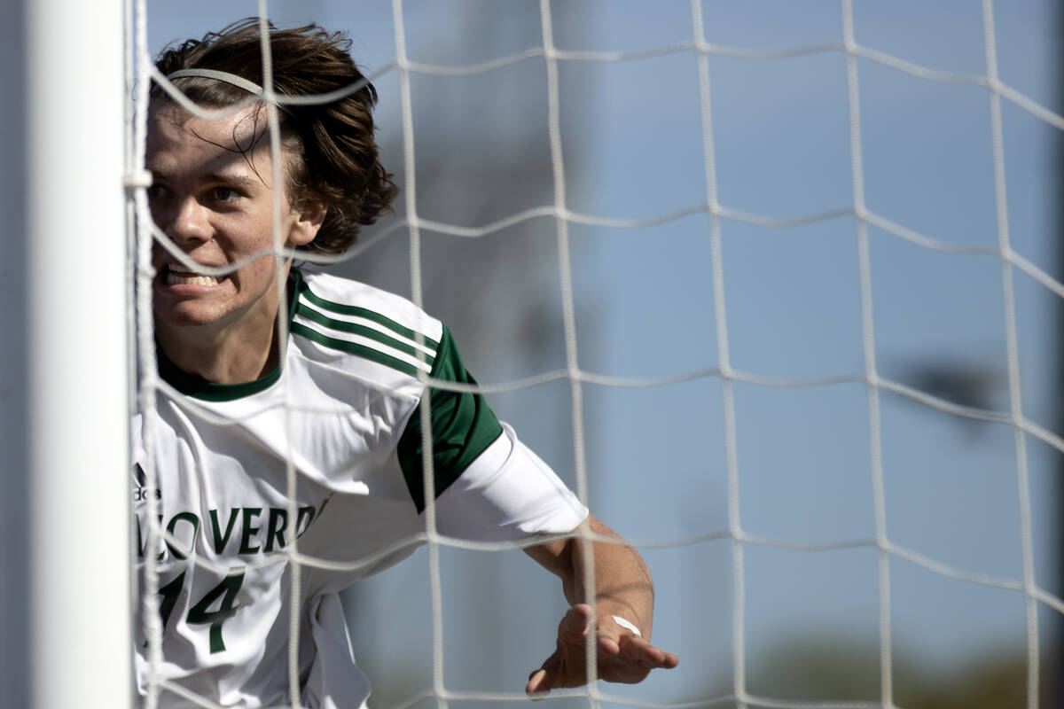 Palo Verde forward Evan Odle celebrates his goal during the first half of a Class 5A Southern R ...