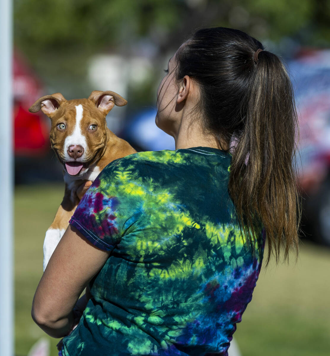 Jessie Brady with Vegas Roots Rescue holds Solo the dog soon to be up for adoption during Paws ...