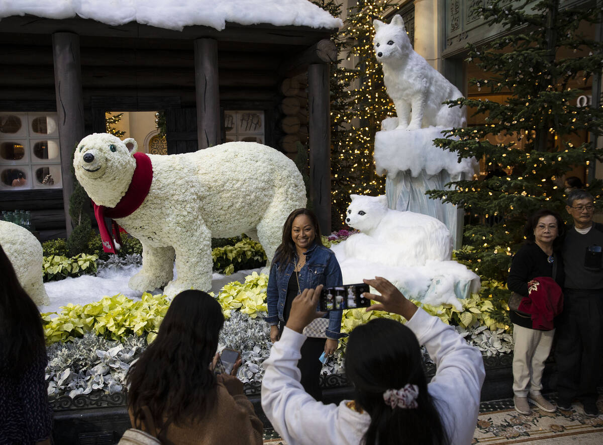 Tourists visit the Polar bears display at the Bellagio Conservatory's holiday display "Holiday ...