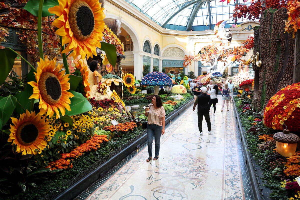 Guests take in the fall display “Enchantment” at Bellagio Conservatory & Botanical Gardens ...