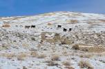 EDITORIAL: Increase the pace of government land sales in Nevada