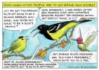 CARTOONS: What the birds are worried about these days