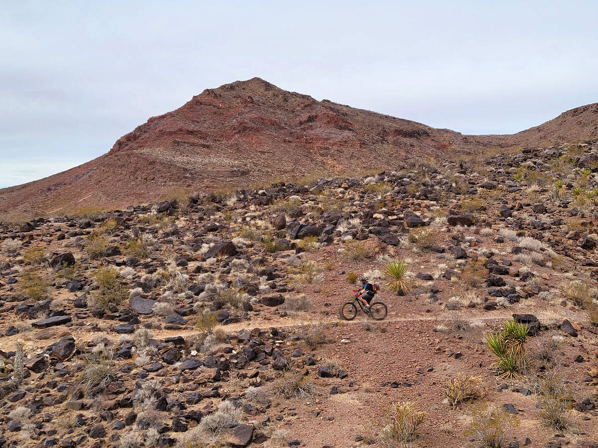 A mountain biker takes to the trails in Southern Nevada’s Sloan Canyon National Conserva ...