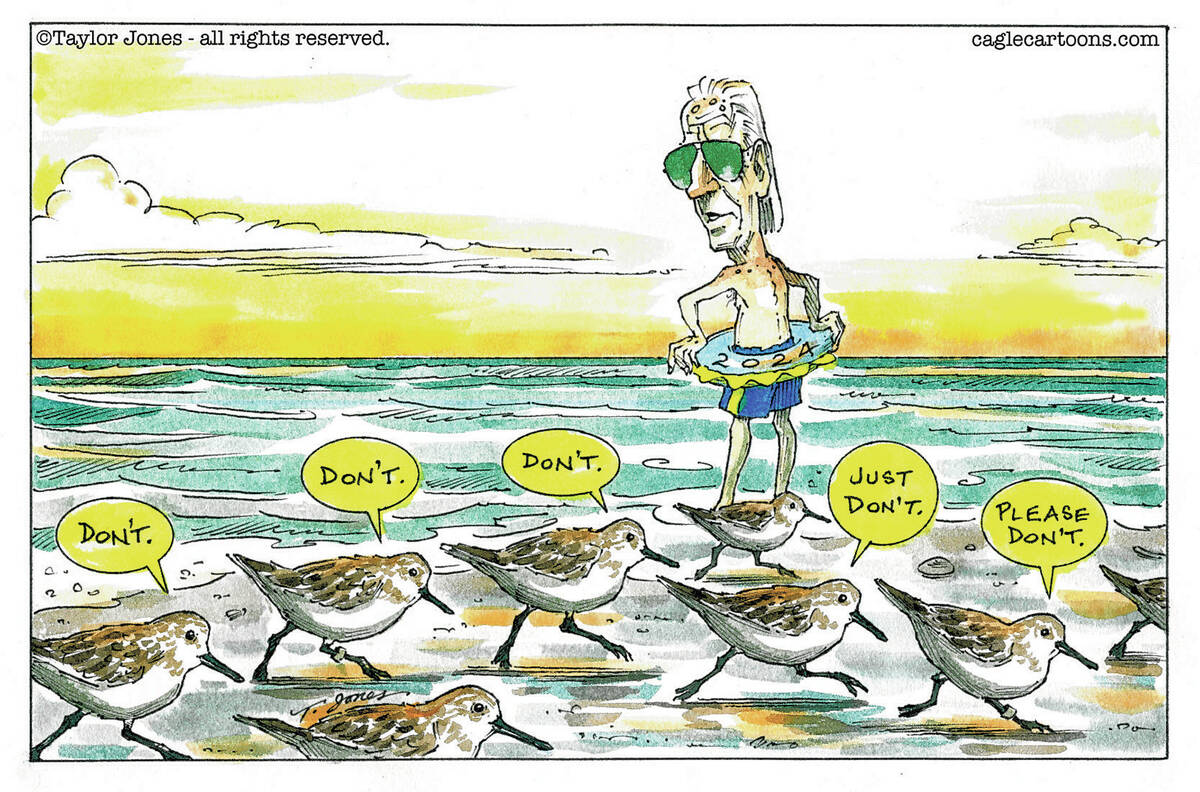 Taylor Jones Politicalcartoons.com