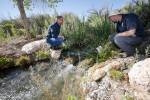 Tiny Nevada fish getting some help, thanks to federal grant