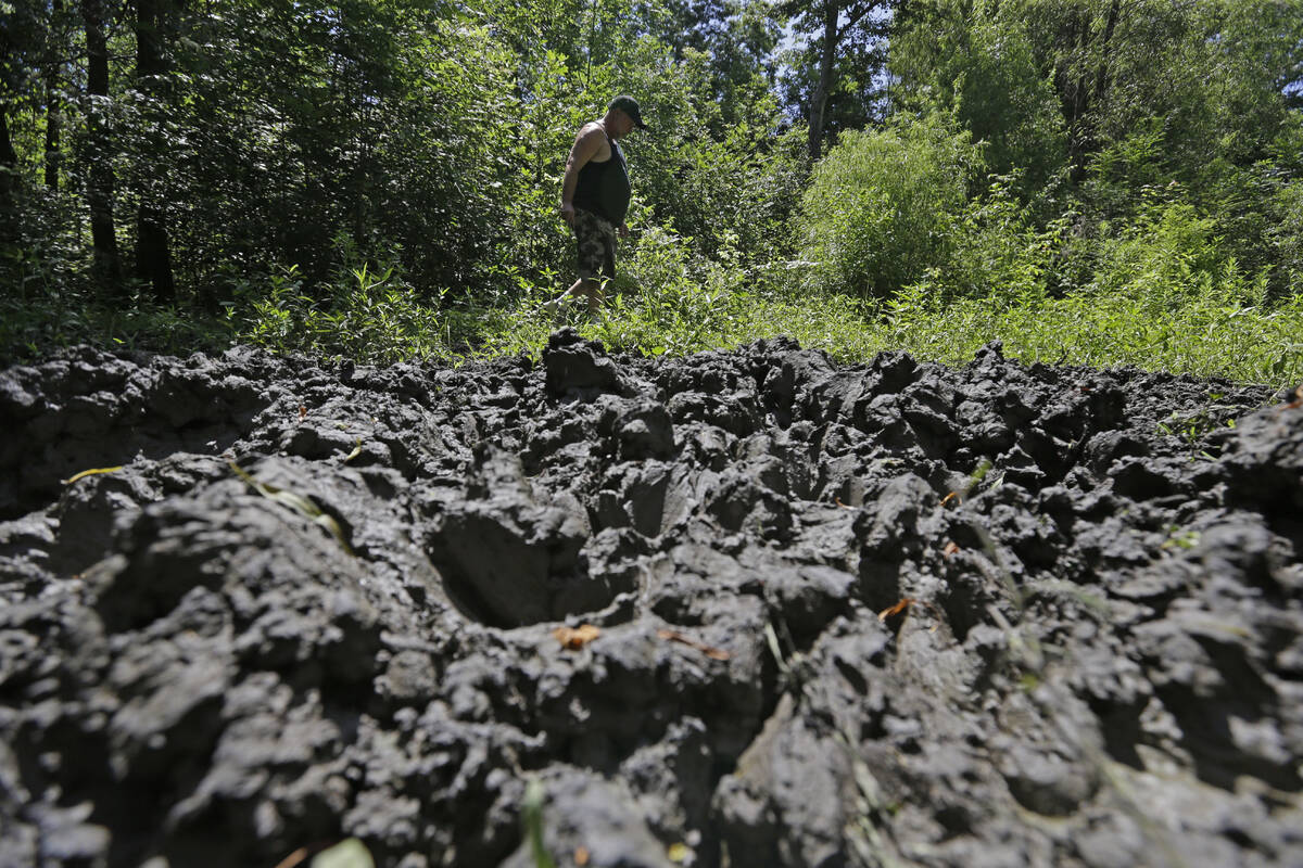In this June 17, 2014, file photo, a wildlife trapper, walks past damage from feral hogs that h ...