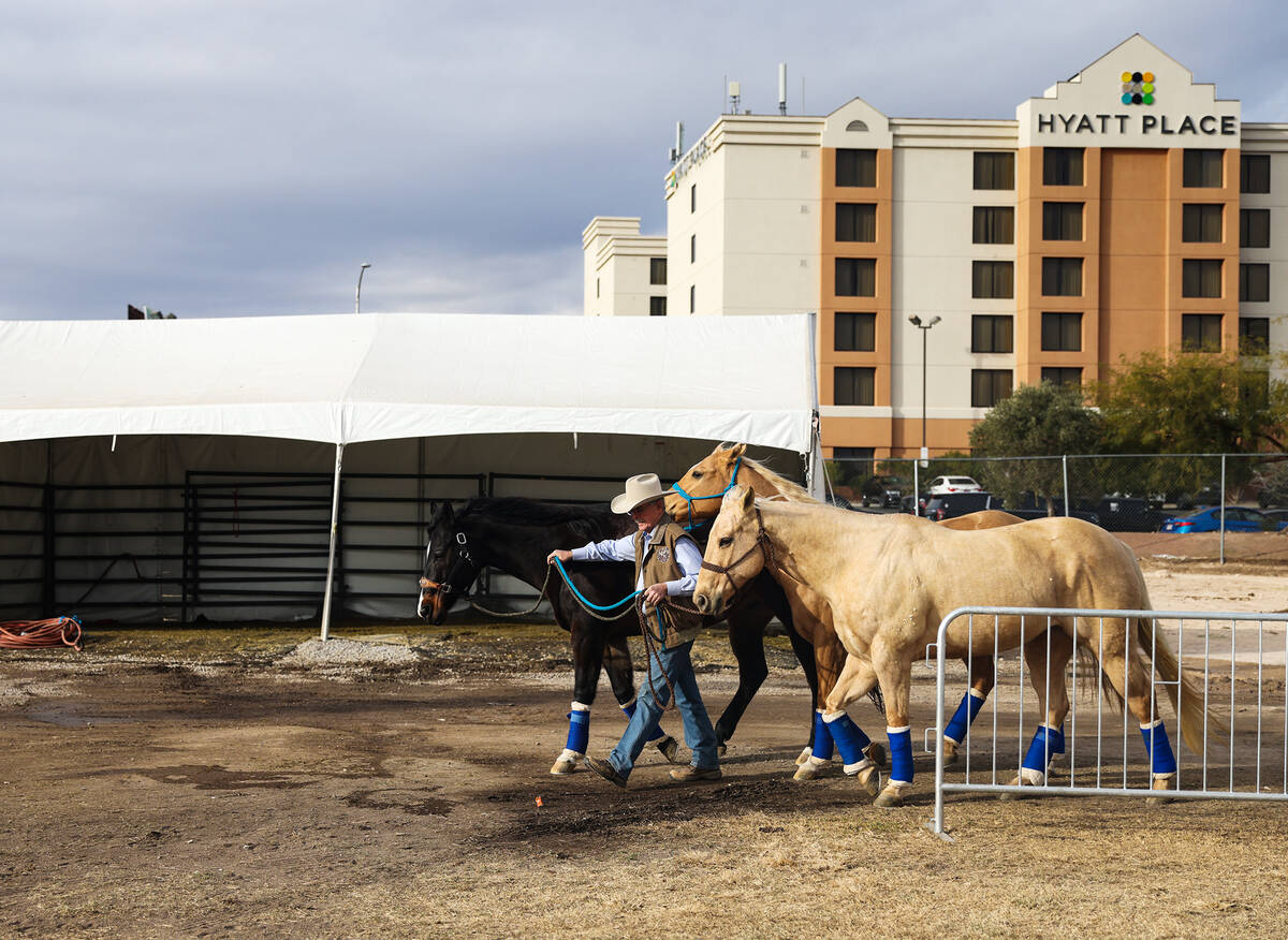 Dan Kinsel walks his daughter Hailey Kinsel’s horses before their trip back to Texas aft ...