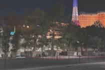 Replacement fir trees sit in crates on Bellagio property, apparently for being planted or re-po ...